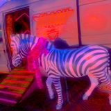 Come On, Come Down! #7 - Vaporwave Is Dead - Sunday 13th March 2016