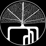 The Advisory Circle present 'Autumn Cycles'