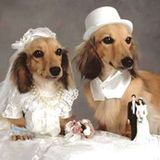 Wedding Mix