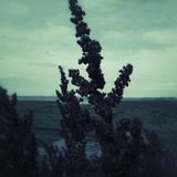 Ambient Belief System 4