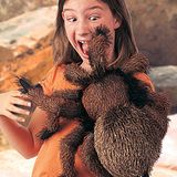 This is the Tarantula