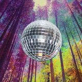 Disco jungle