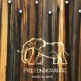 Preponderance
