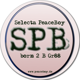 THING TUN UP RADIO SHOW- PeaceBoy Radio www.peaceboy.de 08.05.2015 pt2