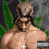 g-funk g-rap 100% West Coast Gangsta Party Mix