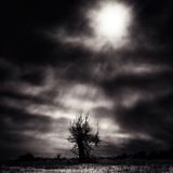 Greyscale 2