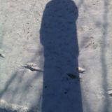 MorLykDat/unfrozen#011316