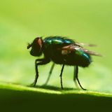 aiDson - bzzzzrrrr 05082012