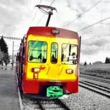 The Reggae Train