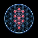 DJ ABRAXAS - PSY dezember 2 MIX