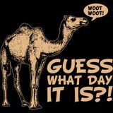 HumpDay MuzIQ