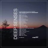 Jordy Jurrius - Deep Senses Radio (5th Anniversary) Guest Mix On Insomniafm (08.02.2015)