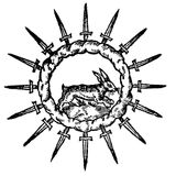 Visionary Tribal Sonic Mix
