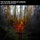 Electric Brain Storm Vol. 6 part 2 - The Future Sound Of London