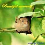 Beautiful moments