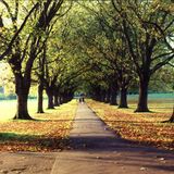 DJ Sunbreath - Promo Set 2011 - 02 - Golden Avenue (Progressive).mp3