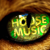 House Music....RoKo