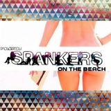 Paolo Ortelli Presents Spankers On The Beach 04 - On Evolution 93.5 Miami4