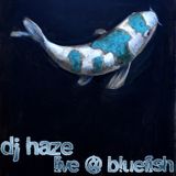 Live @ Bluefish