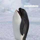 Waxhole - The June Mix