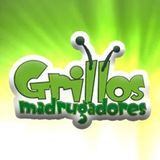 Nuestros dedos en Grillos Madrugadores (280515)