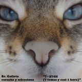 Sr. Galleta escucha y selecciona "7 - 57:55 (7 temas y casi 1 hora)"