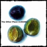 The Other Place (130206)