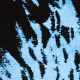 music for musicians brynley thomas 2