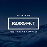 Wayvee - Bassment Vol.1 Promo Mix
