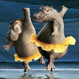 Global Songs about Animals -17 August 2012