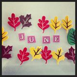 URBaN FoREST #miXtape 018 - JuNE