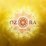 Live at Ozora Festival 2013, Hungary