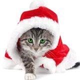 Christmas Mix 2011 by Dj Sundry