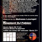 Live from Bahasa in Tampa, FL. (Vol.3) in The Green House Patio in 2005; all vinyl d.j. mix