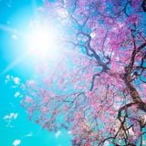 Best Of Spring 2015