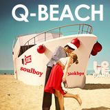 Q MUSIC BEACH-LOVE THE SUMMER THE SOULBOY MIX
