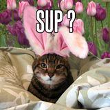 Mussafa - Easter Mix