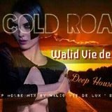 WALID VIE DE LUX - COLD ROAD (DEEP HOUSE MIX)