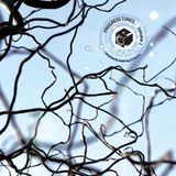 progresstunes vol. 1 by dj martin / human element (mai 2010)