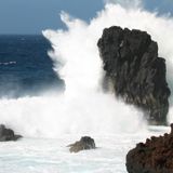 Sebastian Ehrlich - The Rock