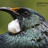 Tui