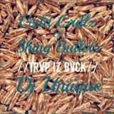 GOLD GRILLZ & SHINY BULLETZ - TRVP IS BVCK MIX BY DJ UNIIQUE
