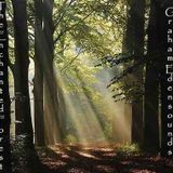 Graham Edensounds- The Enchanted Forest