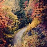 Fartlek October 2015
