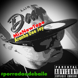 Aranha Dee Jay - MixNewTape 2014 (porradão de baile)