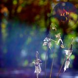 Simple Sounds, vol. 1