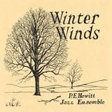 eStereo Winter Winds