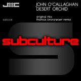 John O'Callaghan ft Cathy Burton - Perfection (Shogun Remix)