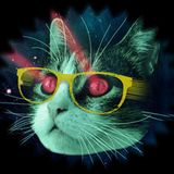 Cat.House.Attic-2016.03.18-dontnormally