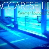 DGroove.Vdj MACCARESE LIDO SummerLounge 2014 (PeppeAcampora